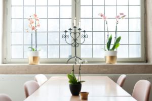 WERZALIT Fensterbänke: Qualität und Design vereint - Bild: Michal Vrba / Unsplash WERZALIT Fensterbänke: Qualität und Design vereint - Bild: Michal Vrba / Unsplash