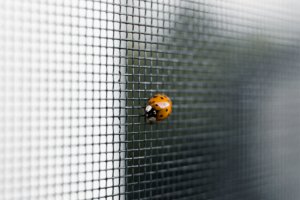 Insektenschutz bezeichnet im baulichen Kontext Systeme, die an Fenstern, T&uuml;ren und Lichtsch&auml;chten installiert werden, um das Eindringen von Insekten in Geb&auml;ude zu verhindern, ohne dabei die Frischluftzufuhr oder die Sicht nach au&szlig;en signifikant zu beeintr&auml;chtigen.