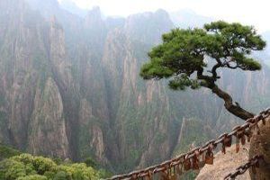 Das Wort Risiko beschreibt eine Situation, in der eine Entscheidung oder eine Handlung zu negativen Konsequenzen f&uuml;hren kann.