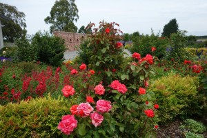 Die Vorteile von heimischen Pflanzen für Biodiversität und Garten - Bild: Arthur Tseng / Unsplash Die Vorteile von heimischen Pflanzen für Biodiversität und Garten - Bild: Arthur Tseng / Unsplash