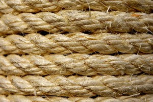 Sisal bezeichnet die Fasern der Agave Sisalana, einer Agavenart, die prim&auml;r in Mexiko, aber auch in anderen L&auml;ndern mit tropischem bis subtropischem Klima angebaut wird.