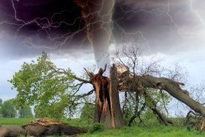 Besser vorbereitet: Strategien zur Absicherung Ihres Zuhauses gegen Naturgewalten und Extremwetter - Bild: Barroa / Pixabay