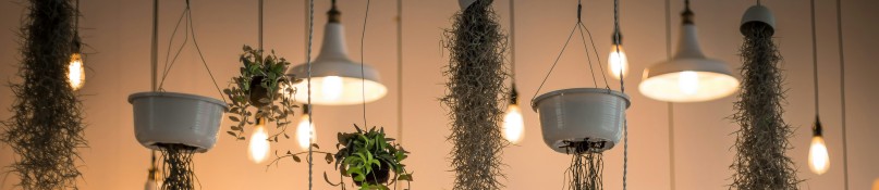 Bauplanung: Energieeffiziente Beleuchtung von Anfang an