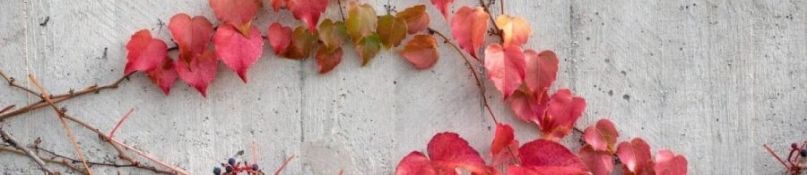 Innovativer Betonzusatzstoff mindert Schadstoffbelastung