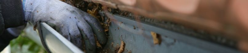 Dachrinnen selbst reinigen und pflegen: Praktische Tipps f&uuml;r schwer erreichbare Stellen