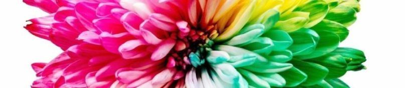 Fototapete mit Architektur - ein Rezept f&uuml;r ein modernes Wohnzimmer