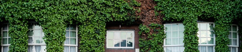 Fassadenbegr&uuml;nung