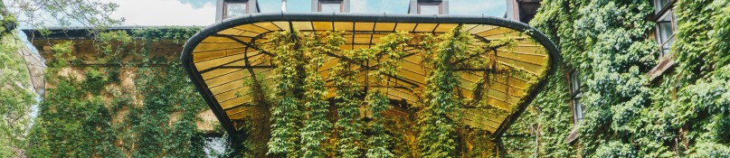 Gr&uuml;ne Fassaden gestalten: Verwandeln Sie Ihre Hauswand in eine bl&uuml;hende Oase