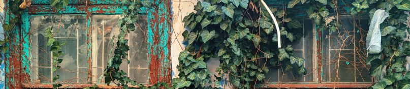 So erkennen Sie den perfekten Zeitpunkt f&uuml;r den Austausch Ihrer Fenster