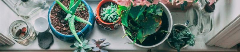 Alte Fenster modernisieren: G&uuml;nstige Alternativen zur kompletten Erneuerung