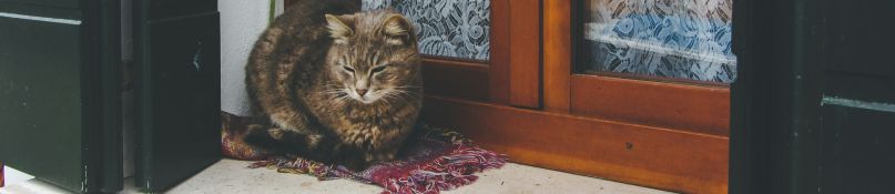 Fensterb&auml;nke konfigurieren - Das sind die wichtigsten Punkte