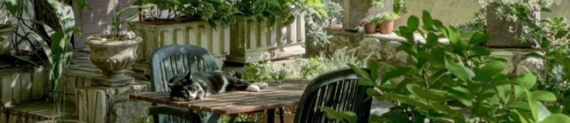 Outdoor-Design und Funktion in Balance: So wird der Au&szlig;enbereich zum Juwel deines Hauses