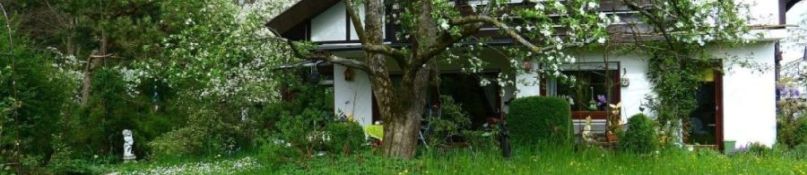 Grundst&uuml;cksgrenze