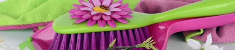 Bodenpflege leicht gemacht: Die besten Methoden f&uuml;r saubere Teppiche und B&ouml;den