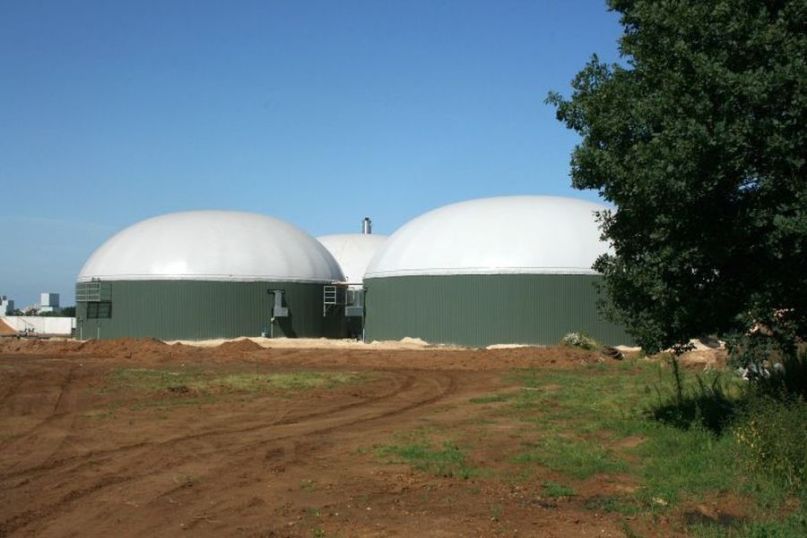 Biomasse bezeichnet alle organischen Materialien, die als erneuerbare Energiequelle genutzt werden k&ouml;nnen.