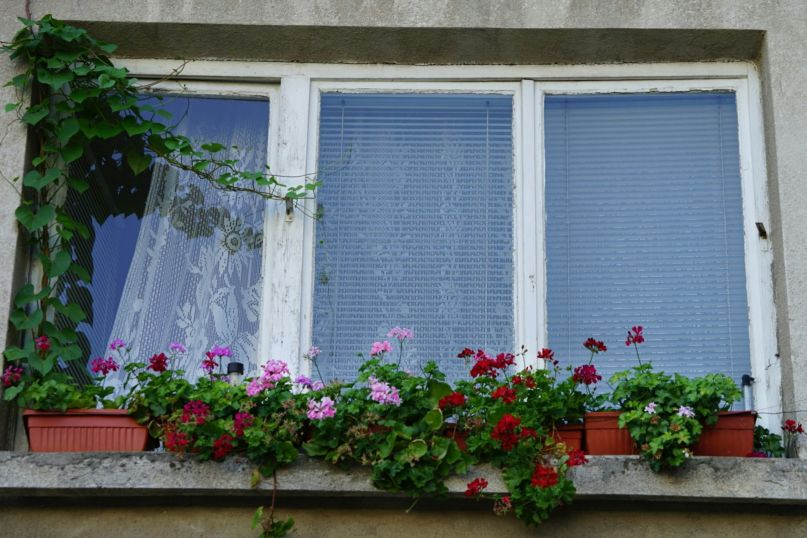 Anzeichen daf&uuml;r, dass es Zeit ist, die Fenster auszutauschen