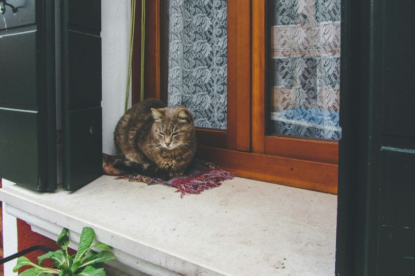 Ein Fensterbank-Konfigurator ist ein Online-Werkzeug, das es Kunden erm&ouml;glicht, Fensterb&auml;nke individuell nach ihren eigenen W&uuml;nschen und Anforderungen zu gestalten.
