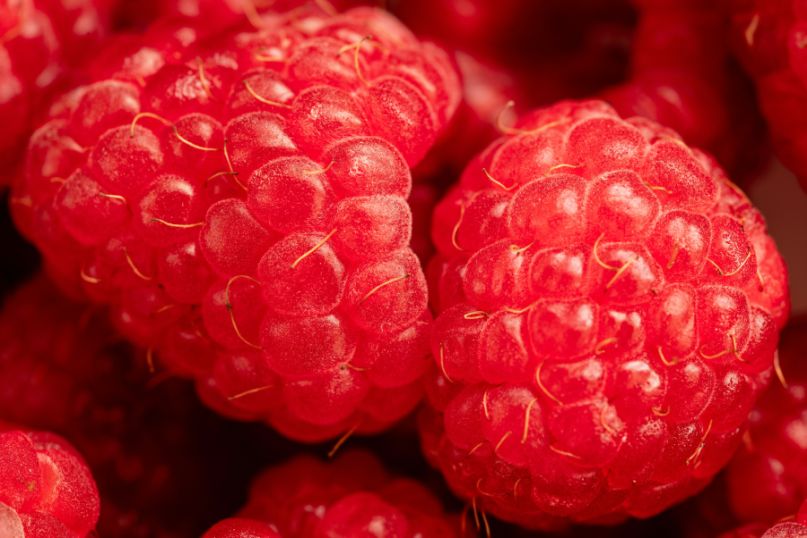 Effektiver Schutz f&uuml;r Ihren Garten: Wurzelsperre f&uuml;r Himbeeren richtig einsetzen