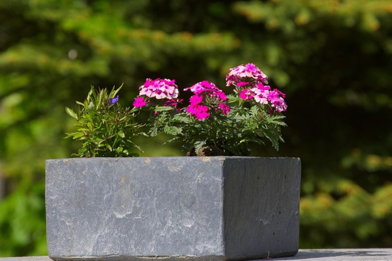 Ein Pflanzk&uuml;bel ist ein Beh&auml;lter, der speziell f&uuml;r die Haltung und das Wachstum von Pflanzen entwickelt wurde.