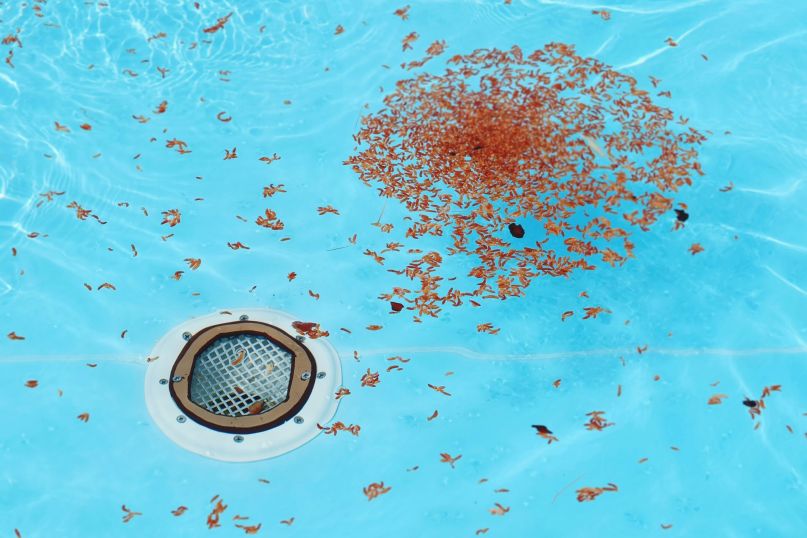 Die Anzeichen f&uuml;r tiefere Probleme in den Rohren