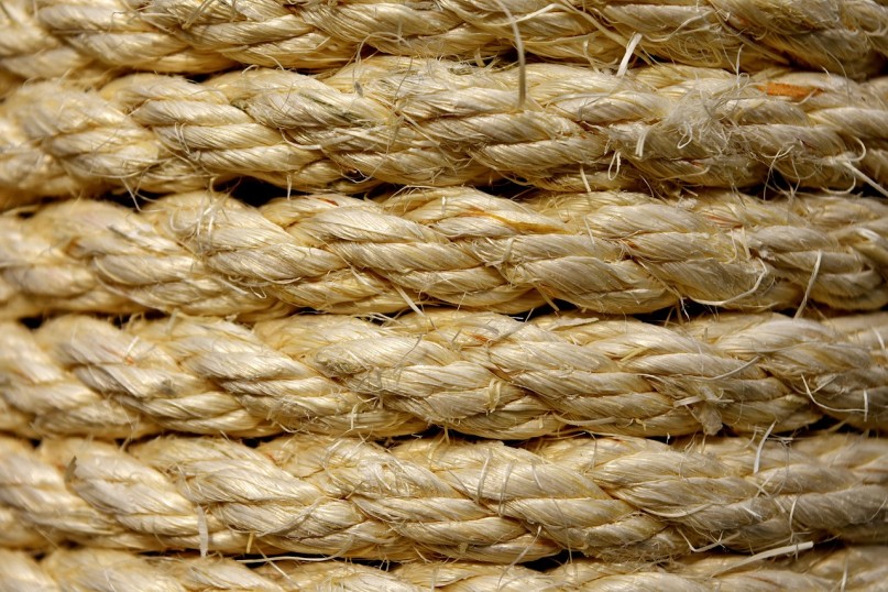 Sisal bezeichnet die Fasern der Agave Sisalana, einer Agavenart, die prim&auml;r in Mexiko, aber auch in anderen L&auml;ndern mit tropischem bis subtropischem Klima angebaut wird.
